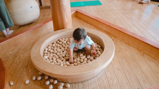 岐阜市近郊 雨の日でも大丈夫 子連れで楽しめる室内遊び場７選 Take Log